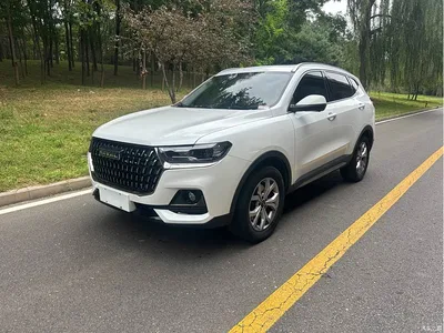 2021 Haval H6 National Trend Edition 1.5GDIT Automatic Champion Edition, фото 1, лот 11016546
