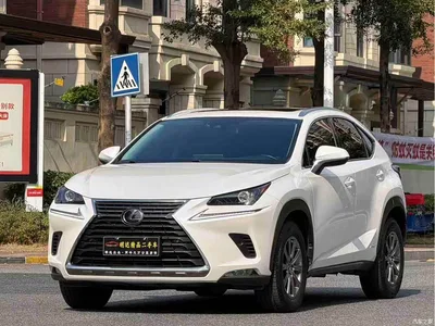 2020 Lexus NX 300h FWD F Sport China VI, фото 1, лот 10316858