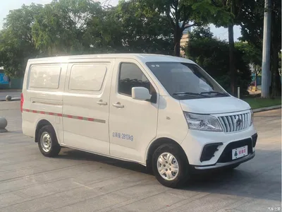 2024 Changan Changan Ruixing EM80 Split-door Standard 2 Seats 41.86kWh, фото 3, лот 11163713