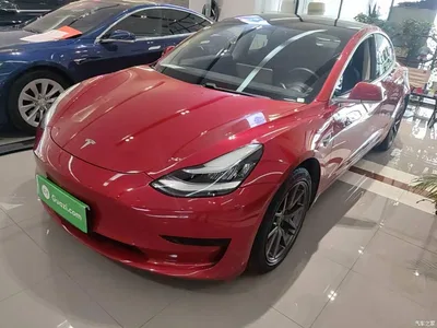 2020 Tesla Model 3 Standard Range Rear-Wheel Drive Upgrade, фото 1, лот 10376196