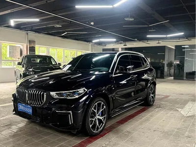 2022 BMW X5 Model xDrive 40Li M Sport Package, фото 1, лот 10463254
