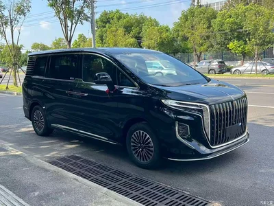 2024 Hongqi HQ9 PHEV Model 2.0T AWD Luxury Edition, фото 3, лот 10288401