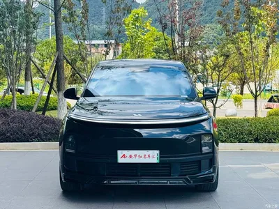 2024 Li Auto Li L8 Pro, фото 2, лот 10824886