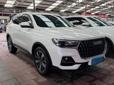 2023 Haval H6 National Trend Edition 1.5T Automatic Champion, фото 3, лот 10283657