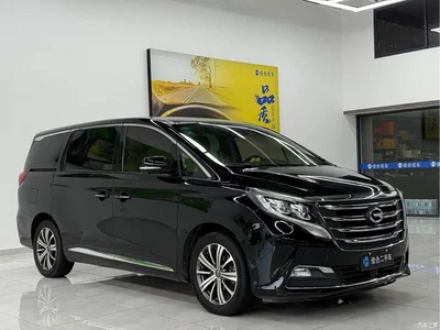 2018 GAC Trumpchi Trumpchi M8 320T Flagship Edition, фото 2, лот 10417335