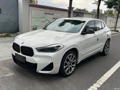 2022 BMW X2 sDrive25i M Sport Package, фото 1, лот 11140678