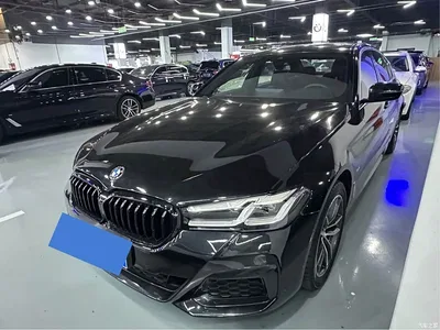 2021 BMW 5 Series 525Li M Sport Package, фото 1, лот 11222709
