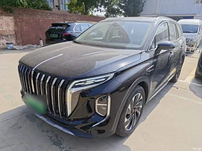 2024 Hongqi HS7 PHEV 2.0T PHEV AWD Qichang Edition 7-seater, фото 1, лот 10289486