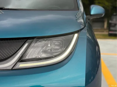 2021 BYD Dolphin Model 405km Fashion Edition, фото 4, лот 10247885