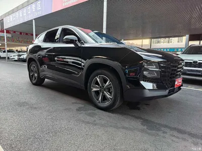 2023 Jetour Dasheng 1.5T DCT Starlight PRO, фото 3, лот 10827008