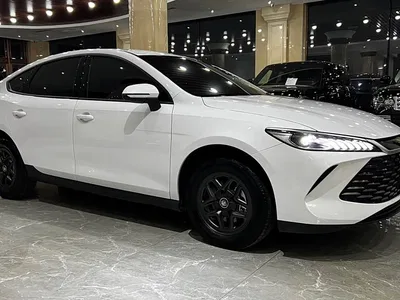 2026 BYD Qin PLUS DM-i 128KM Progressive, фото 3, лот 10363715