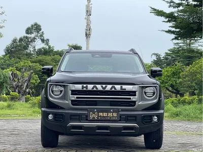 2024 Haval Big Dog 1.5T DCT Border Collie Edition, фото 2, лот 10361762