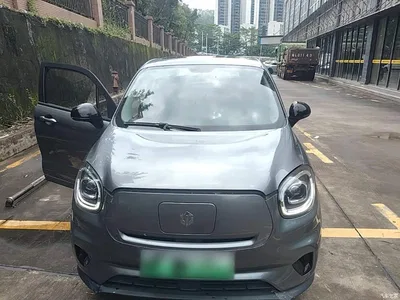 2021 Leapmotor T03 400 Comfort Edition, фото 3, лот 10442356