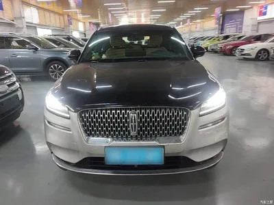 2020 Lincoln Adventurer 2.0T 2WD Premium Elegance Edition, фото 3, лот 10359674