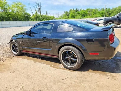 2007 FORD MUSTANG, фото 2, лот 10555753