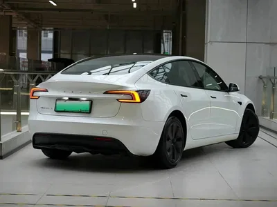 2023 Tesla Model 3 Rear-Wheel Drive, фото 2, лот 10621450