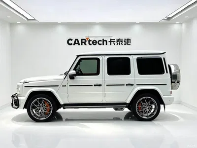 2019 Mercedes-Benz G-Class, фото 4, лот 11089631