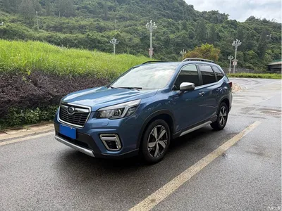 2019 Subaru Forester 2.0i Smart Hybrid Flagship EyeSight, фото 1, лот 10765553