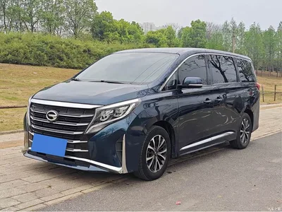 2021 GAC Trumpchi Trumpchi M8 Leading Show Series 390T Premium Edition, фото 1, лот 10415685
