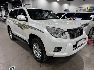 2010 Toyota Prado (Import), фото 3, лот 10385896
