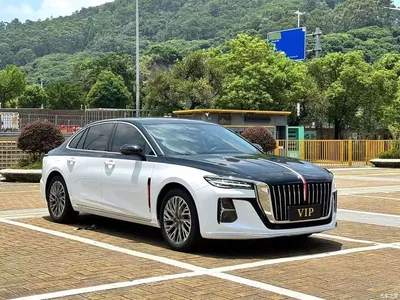 2023 Hongqi H5 1.5T DCT Smart Connect Flag Rhythm, фото 3, лот 10288228