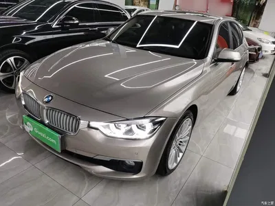 2018 BMW 3 Series 320Li Fashion Style, фото 2, лот 10457606