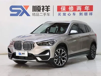 2022 BMW X1 xDrive25Li Premium, фото 1, лот 10415346