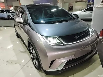 2021 BYD Dolphin 401km Knight Edition, фото 4, лот 10259596
