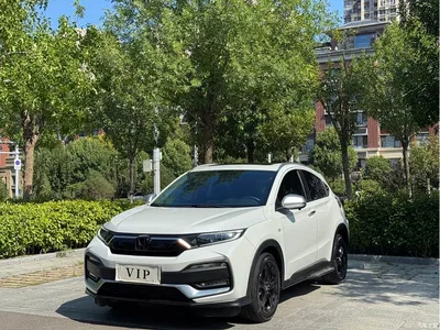 2021 Honda XR-V 220TURBO CVT Luxury Edition, фото 1, лот 10887314