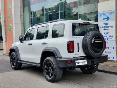 2021 Tank 300 Off-road Version 2.0T Conqueror, фото 4, лот 10344636