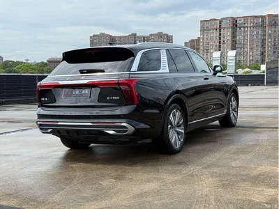 2022 Hongqi E-HS9 690km Qi Xiang Edition (6-seater), фото 4, лот 10287036