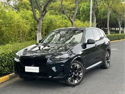 2023 BMW iX3 Pioneer Type, фото 1, лот 11175189