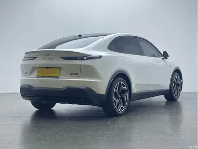 2024 Ledao L60 60kWh Rear-Wheel Drive, фото 3, лот 10900041