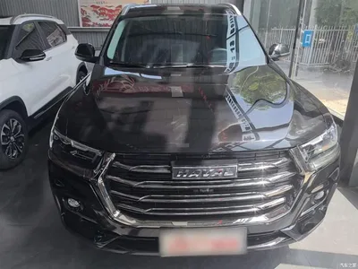 2021 Haval H6 National Trend Edition 1.5T Automatic Urban Edition, фото 3, лот 10287109