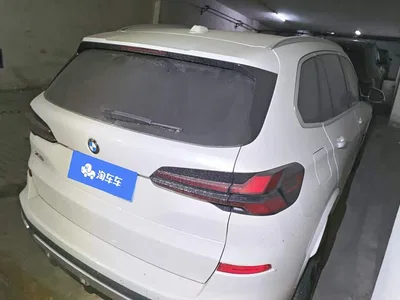 2023 BMW X5 xDrive 30Li Premium M Sport Package, фото 3, лот 11201478