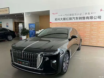2025 Hongqi H9 Facelift 2.0T 2WD Flagship Luxury Business Edition 5-seater, фото 1, лот 10450701