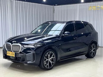 2023 BMW X5 xDrive 30Li Premium M Sport Black Night Package, фото 1, лот 10402660