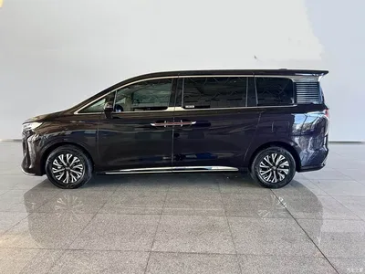 2024 Hongqi HQ9 PHEV Model 2.0T AWD Luxury Edition, фото 2, лот 10414978