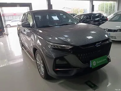 2022 Changan Oshan X7 PLUS 1.5T Blue Whale Edition Auto Premium, фото 4, лот 11132809