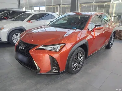2020 Lexus UX 200 F SPORT Edition, фото 2, лот 10319423