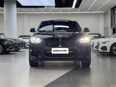 2021 BMW X4 xDrive 25i M Sport Glorious Night Package, фото 2, лот 10476809
