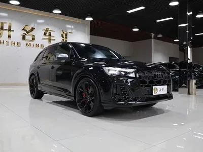 2024 Audi SQ7 4.0 TFSI, фото 3, лот 11221830