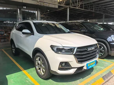 2021 Haval H6 National Trend Edition 1.5GDIT Automatic Champion Edition, фото 3, лот 10306167