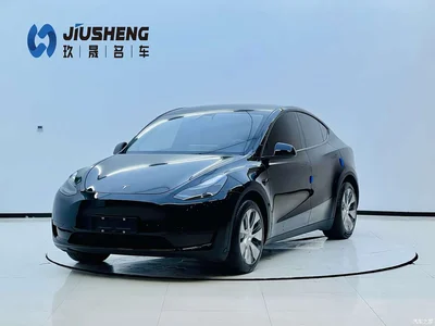 2023 Tesla Model Y Rear-Wheel Drive Edition, фото 2, лот 10393956