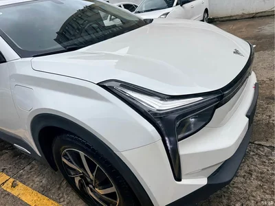 2021 Nezha Auto Neta U Pro 400 Light Edition, фото 4, лот 10447662