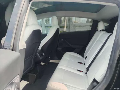 2022 Tesla Model Y Rear-Wheel Drive Version, фото 4, лот 11241905