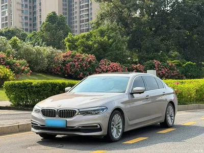 2020 BMW 5 Series New Energy 530Le Luxury Package, фото 1, лот 10474054