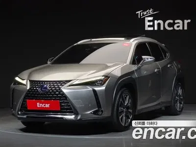 2019 Lexus UX 250h 2.0 AWD, фото 1, лот 10033845