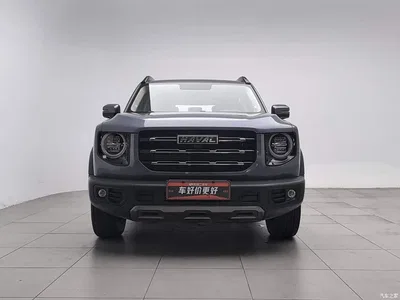 2021 Haval Big Dog 1.5T DCT 2WD Labrador Edition, фото 3, лот 10361769