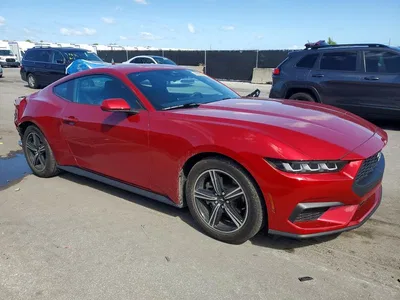 2024 FORD MUSTANG, фото 4, лот 11271441